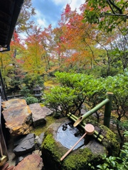 京紅葉2024＿大法院02