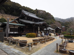 三室戸寺_本堂・三重塔と狛兎の後ろ姿