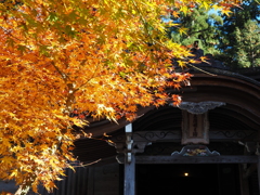 滋賀紅葉2025＿葛川息障明王院01