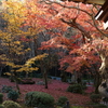 京紅葉2015＿圓光寺07