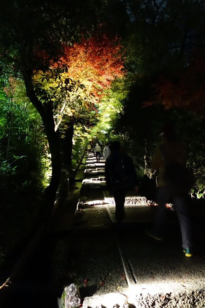 京紅葉2013＿高台寺01