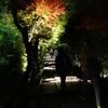 京紅葉2013＿高台寺01