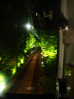 青もみじのトンネル疾走