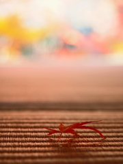 京紅葉2025＿嵐山・宝筐院08　一葉