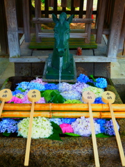 藤森神社 花手水-馬01