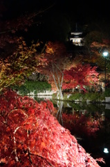 京紅葉2013＿永観堂07