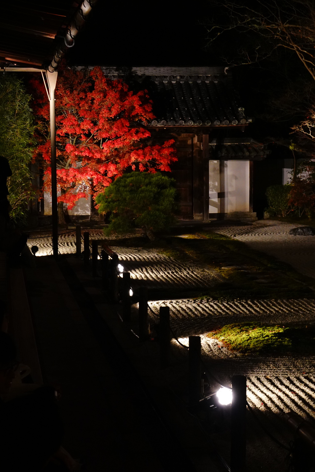 京紅葉2018＿天授庵07