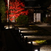 京紅葉2018＿天授庵07