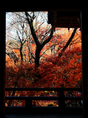 京紅葉2025＿嵐山・宝筐院05　20分後