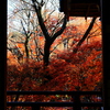 京紅葉2025＿嵐山・宝筐院05　20分後