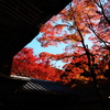 京紅葉2025＿槙尾・西明寺08