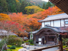 京紅葉2024＿大原・古知谷 阿弥陀寺02