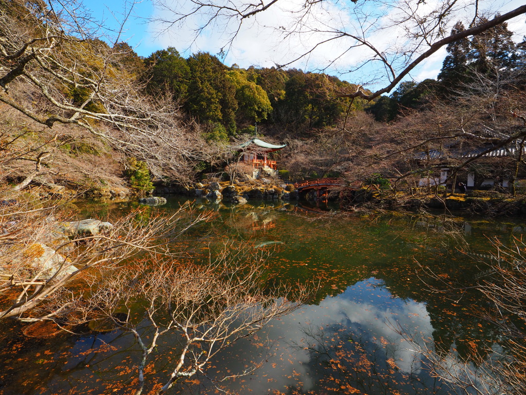 M.ZUIKO 8-25mm F4.0 PROデビュー_07
