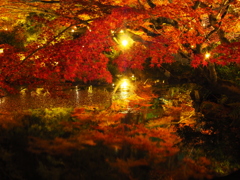 京紅葉2024＿金戒光明寺04　紫雲の庭 水面紅葉