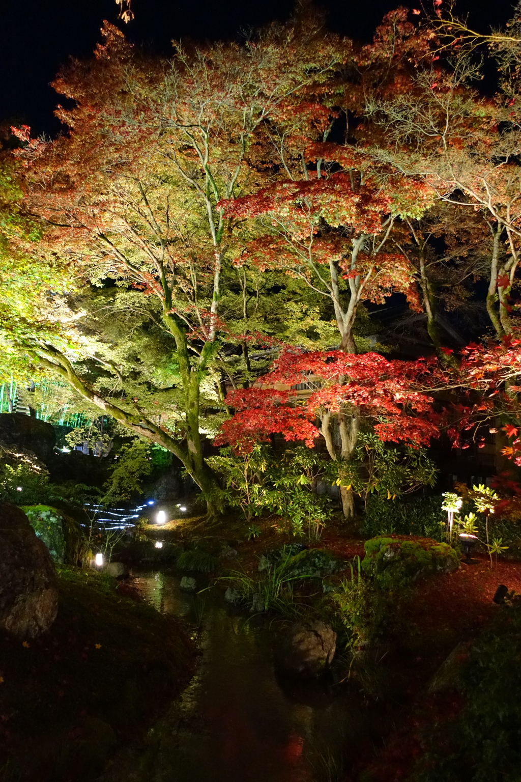 京紅葉2015＿宝厳院13