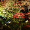 京紅葉2015＿宝厳院13