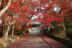 京紅葉2018＿毘沙門堂門跡07　勅使門