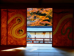 京紅葉2025＿京北・常照皇寺06　襖絵ともみじ