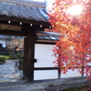 京紅葉2015＿圓光寺03　十牛之庭門前