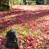 京紅葉2015＿圓光寺18　ほほえみⅡ