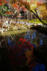 京紅葉2025＿京北・常照皇寺04　うつる