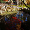 京紅葉2025＿京北・常照皇寺04　うつる
