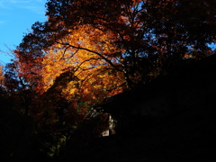 京紅葉2025＿京北・常照皇寺01