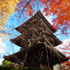 京紅葉2024＿真如堂04　三重塔を囲む　
