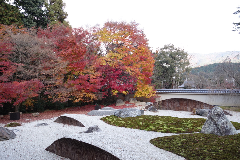 京紅葉2013＿実相院01