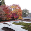 京紅葉2013＿実相院01