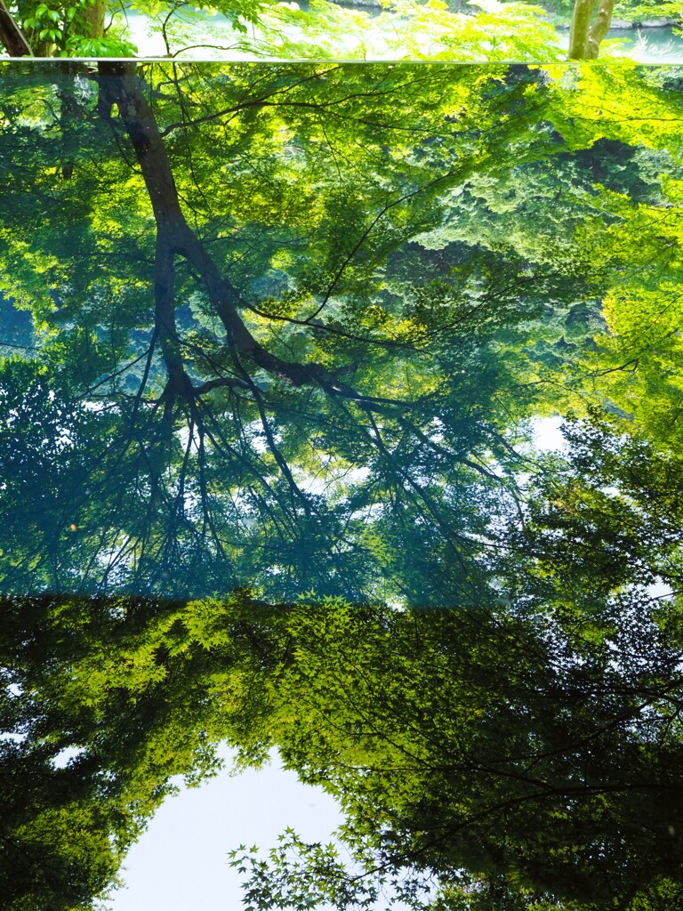 嵐山 祐斎亭 水鏡02