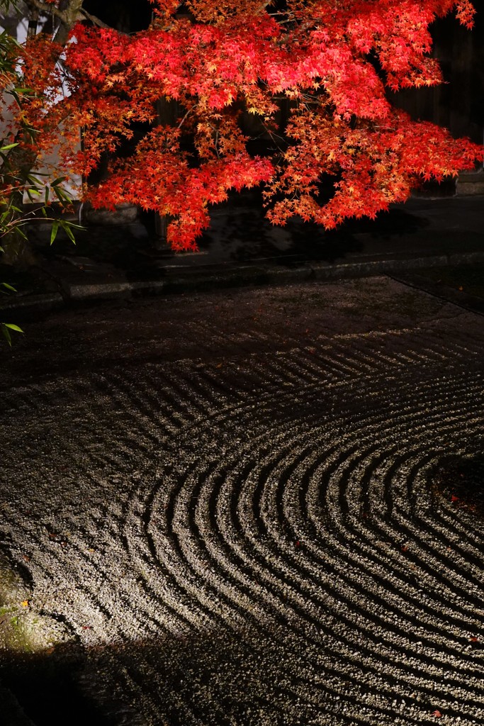 京紅葉2018＿天授庵09