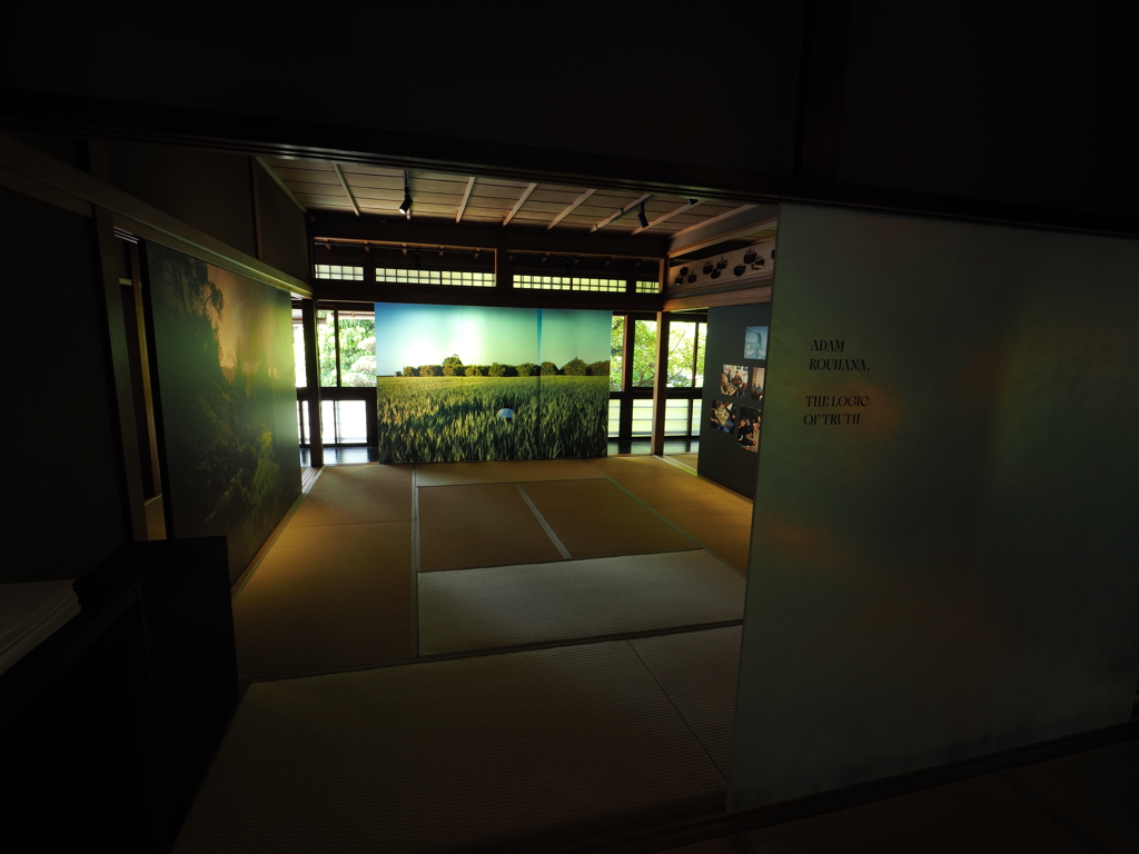 KYOTOGRAPHIE_八竹庵02