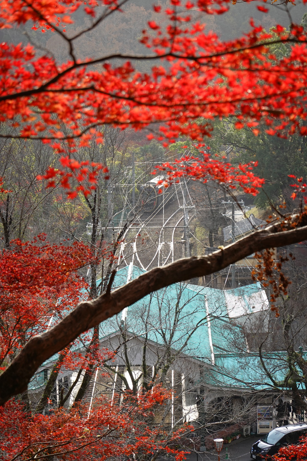 京紅葉2018＿八瀬もみじの小径06　もみじにつつまれて　その２