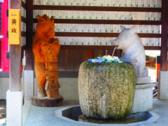 護王神社04＿花手水－猪と伊之助？