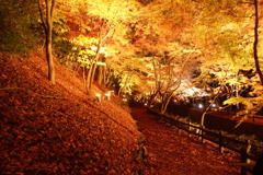 京紅葉2016　北野天満宮もみじ苑_09