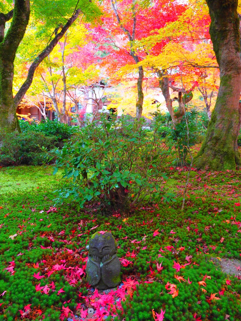 京紅葉2024＿圓光寺のお地蔵様04