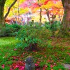 京紅葉2024＿圓光寺のお地蔵様04