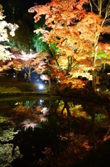 京紅葉2013＿高台寺08