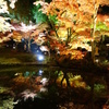 京紅葉2013＿高台寺08