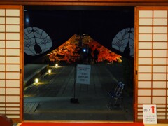 京紅葉2024＿金戒光明寺07　出口