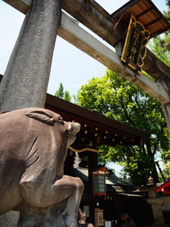 護王神社02＿狛いのしし