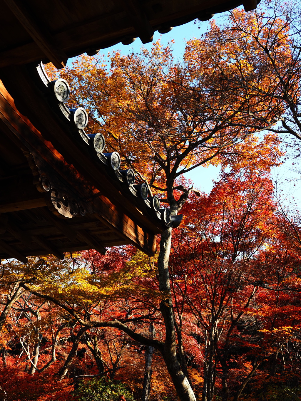 京紅葉2025＿嵐山・宝筐院02