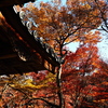 京紅葉2025＿嵐山・宝筐院02