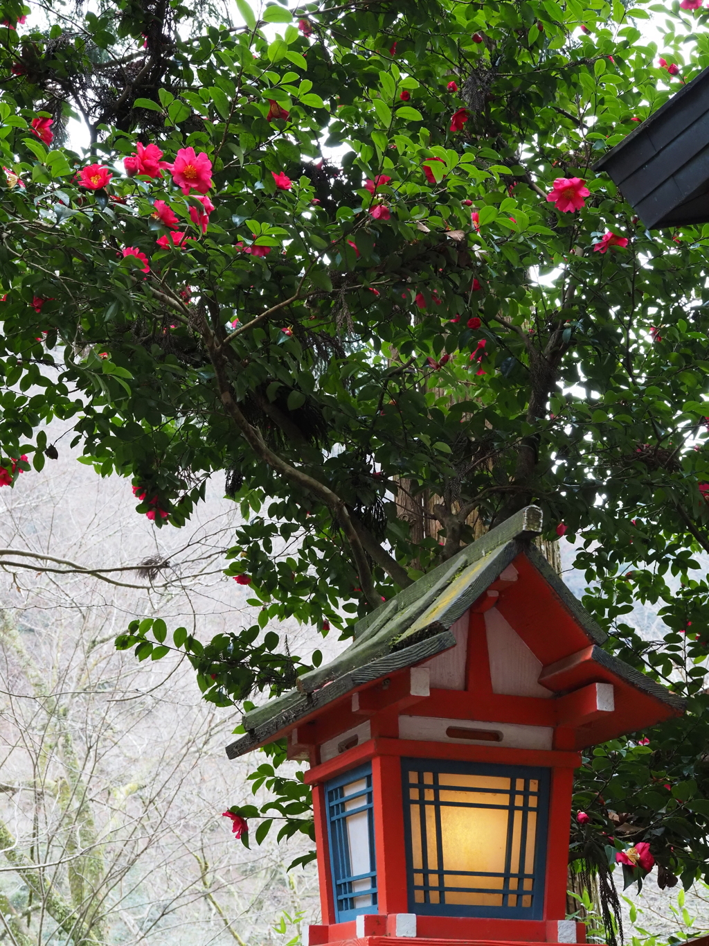 午年初もうで＿貴船神社　待ち時間に