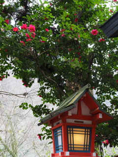 午年初もうで＿貴船神社　待ち時間に