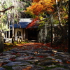 京紅葉2025＿京北・常照皇寺07　舎利殿