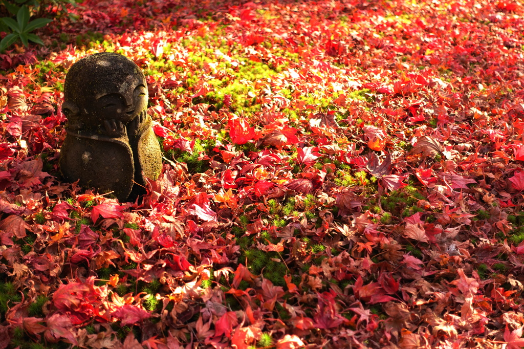 京紅葉2015＿圓光寺19　ほほえみⅢ