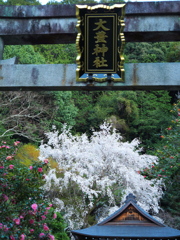 大豊神社＿Ⅱ