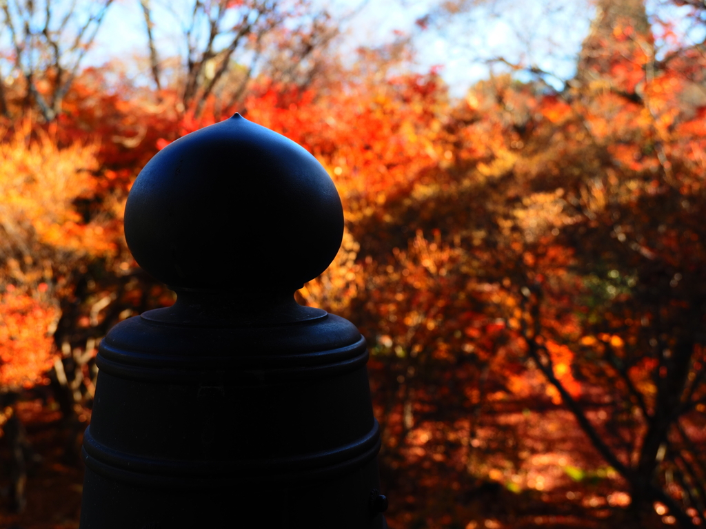 京紅葉2025＿嵐山・宝筐院03
